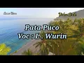 Download Lagu Pata Puco Lirik Voc . L. WURIN