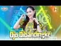 Lagu Fira Azahra ft Ageng Musik - Ojo Dibandingke (Official Live Music)