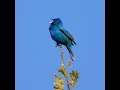 I wish you are good