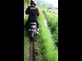 Download Lagu \