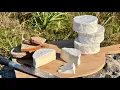 Download Lagu CAMEMBERT Cheese - How to make Cheese at home