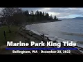 King Tide at Marine Park Bellingham Washington