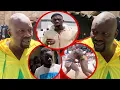 Download Lagu 🛑Première reaction de Zarco qui remercie Formose Mendy and Ousmane Sarr-Dagnma khekh Nioumoy Khekh