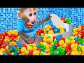 Download Lagu Monyet Bon Bon Imut menjelajahi harta karun misterius di laut dan mandi di dalam rumah