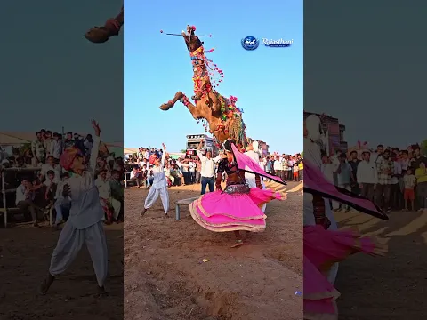 Dancing Camel Goes Viral #Camel #CamelDance #AnimalShorts #ViralShorts #Shorts #Trending #Dance