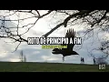 Saliva - Crows (Sub Español/Lyrics)