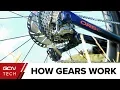 How Do Bike Gears Work Bicycle Gears Explained