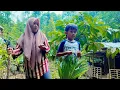 Download Lagu Makan lauk sayur, Sambel,daun singkong rebus dan tempe. Bersukur sedikit ada ayam rezeki buat Anak.