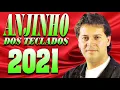 Download Lagu ANJINHO DOS TECLADOS O MELHOR DA SERESTA