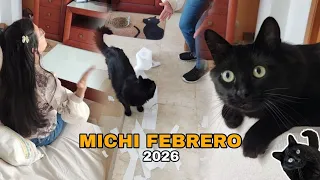 Michi Febrero 2026. Karen ya no puede más 😹