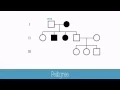 Pedigrees