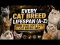 Every Cat Breed Lifespan A Z How Long Does Each Cat Breed Live