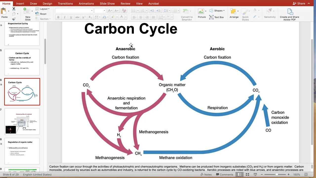 MCRO 221- Biogeochem slides 1-10 (Dr. Pat Fidopiastis)