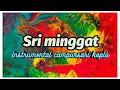 Download Lagu Sri Minggat // instrumental campursari koplo MP3
