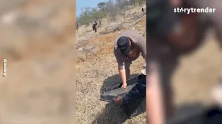 Man Wrestles Giant Snakes With His Bare Hands! 😱🐍