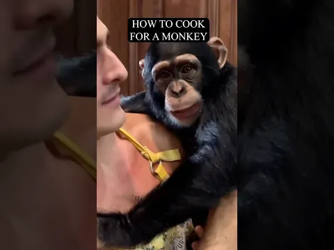 Monkeys help @itsqcp make pasta dinner🍝😍❤️ #savetheapessavetheworld