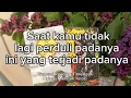 Lagu Saat kamu tidak lagi perduli padanya ini yang terjadi di dirinya #generalreading #allzodiactarot 