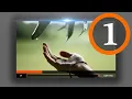 Custom HTML5 Player Play and Pause button