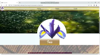 Iris Flowers Classification Using Machine Learning