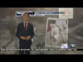 Dog Walk Forecast for April 11 - Max