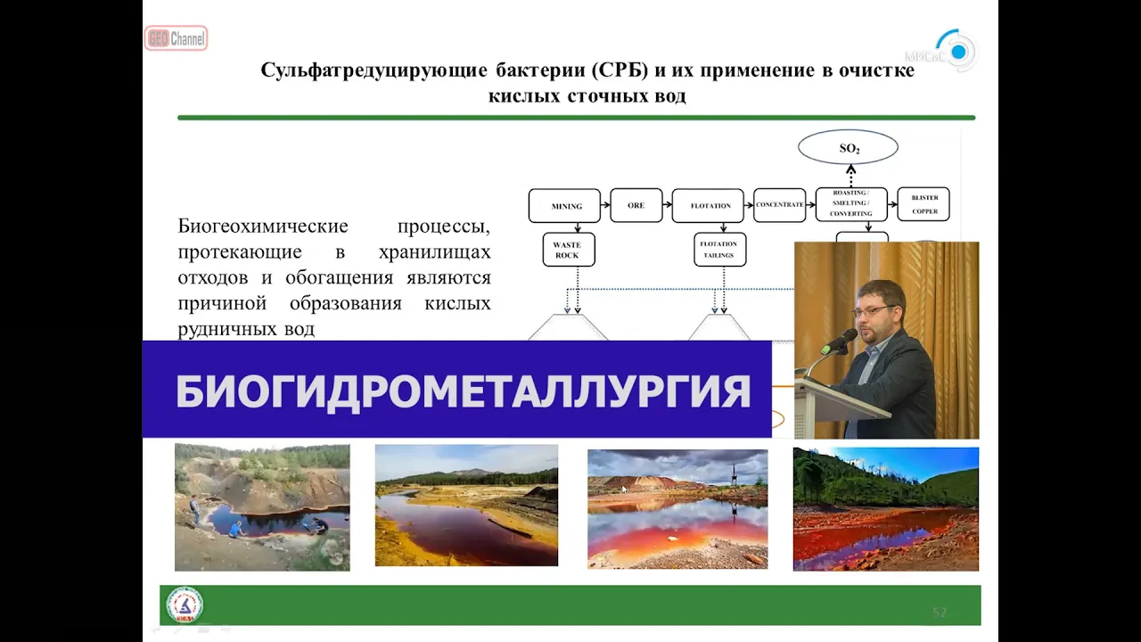 Биогидрометаллургия. Разнообразие микроорганизмов, применяемых в биогидрометаллургии. Булаев А.Г.