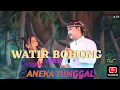 Download Lagu Watir Bohong - Devi susilawati || versi musik sandiwara aneka tunggal.