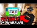 Pet Simulator X BUT on an AIRPLANE