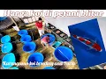 Download Lagu Cek \u0026 ricek harga koi di petani blitar langsung
