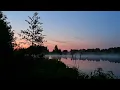 Singing of forest birds with cicadas at the night lake. Perfect for sleeping!