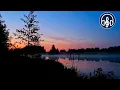 Download Lagu Singing of forest birds with cicadas at the night lake. Perfect for sleeping!