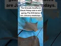 SeaWorld Has 55 Tickets For Sale