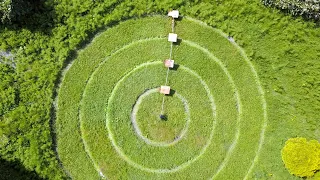 Mowing My Lawn with a Mini Center Pivot