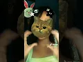 Download Lagu janji manis naliko awal pacaran dadi badut tak lakoni , siapa yg orwa kumpul yuuu
