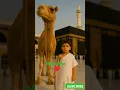 Download Lagu mashallah ♥♥ Labbayk Allahumma Labbayk #allah #shortvideo #ytsh #shortvideo #hajj #ahlla