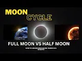 Moon Cycle Moon Cycle 101 A Beginner s Guide How To Understand Moon Phases In 5 Minutes