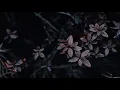 CRIS TAYLOR - Bre Petrunko (feat DIANA TAGIEVA) #Bass