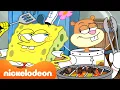 Download Lagu SpongeBob | BBQ Musim Panas SpongeBob! 🍔 | Kompilasi 45 Menit | Nickelodeon Bahasa