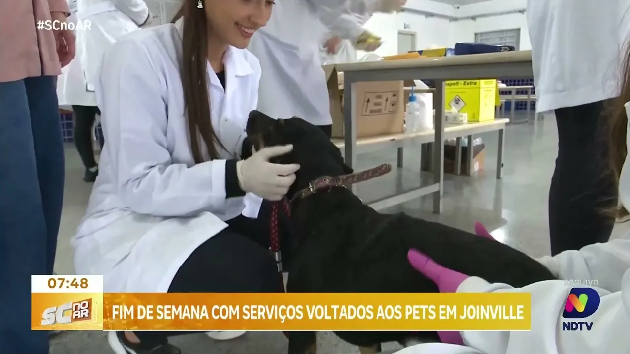 Fim de semana em Joinville terá evento especial para pets com feira de adoção