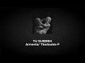 TU SI-DINASTIA REMIX/Armenta/Tito double P