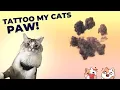 Tattooing My Cat s Paw Print Now we will be Together Forever