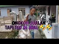 Download Lagu JUALAN GURILEM BATAN PAYU DI BELI MENDING DUR DER PASEA WE CENAH 🤣🤣