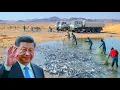 Download Lagu China heeft een zee van vissen in de woestijn vrijgelaten. Wat er een maand later gebeurde, schokte