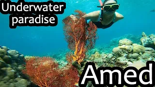 Snorkelling, diving and otherwise exploring Amed | Indonesia (Ep 15)