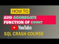 SQL 13 Aggregate Functions COUNT