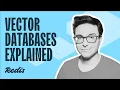 What is a vector database