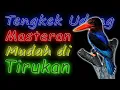 MASTERAN TENGKEK UDANG NGEKEK PANJANG MUDAH DI TIRUKAN, DENGAN JEDA BUNYI