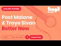 Post Malone Troye Sivan - Better Now Lower Key Acoustic Karaoke