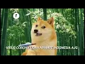 Download Lagu Gua jadi ngeri anjing