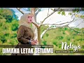 Download Lagu NELSYA - DIMANA LETAK SETIAMU (Official Music Video)
