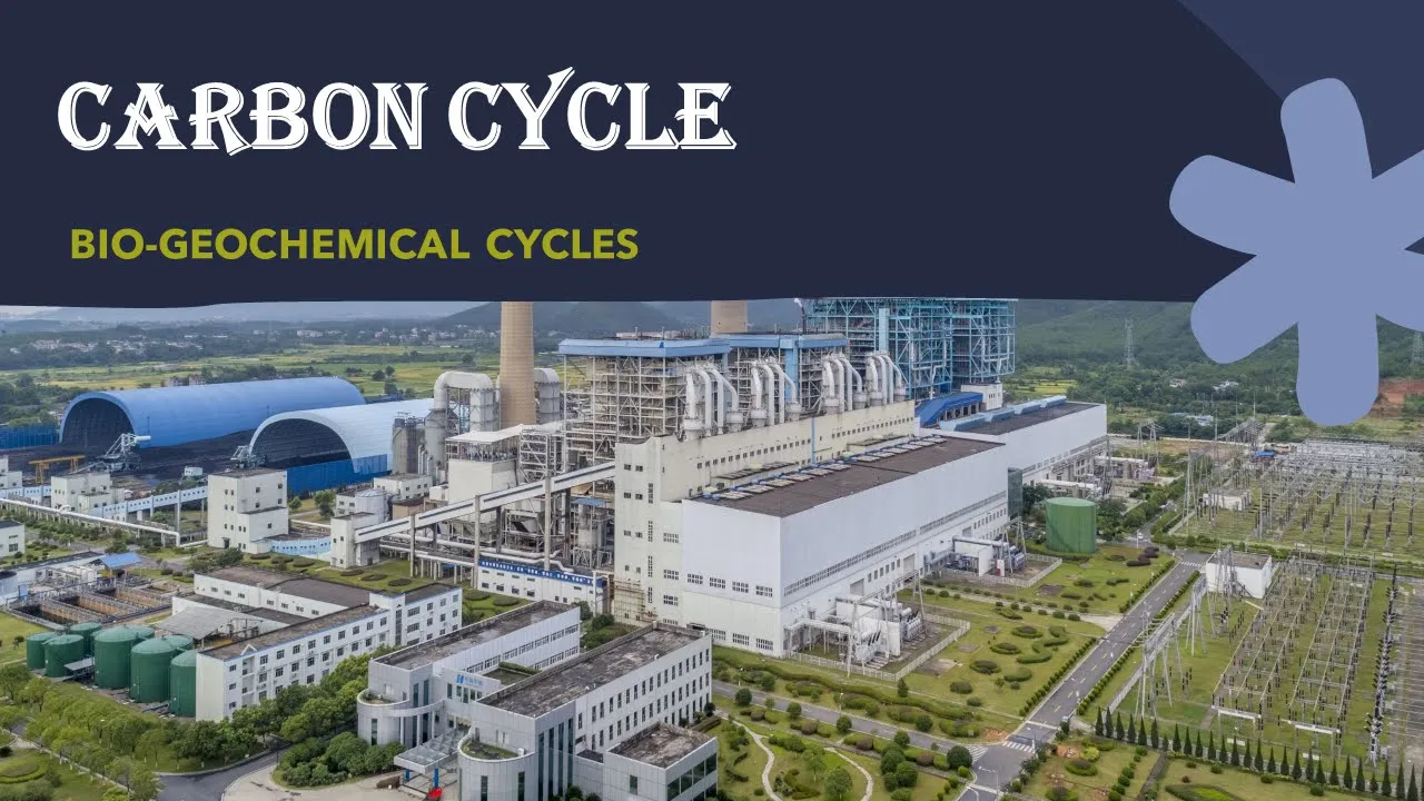 CARBON CYCLE - BIOGEOCHEMICAL CYCLES( NUTRIENT CYCLES)- ENVIRONMENTAL/APPLIED/SOIL MICROBIOLOGY